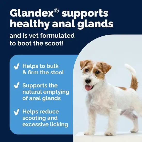 Glandex Advance Anal Gland Support Chicken Soft Chews for Dogs