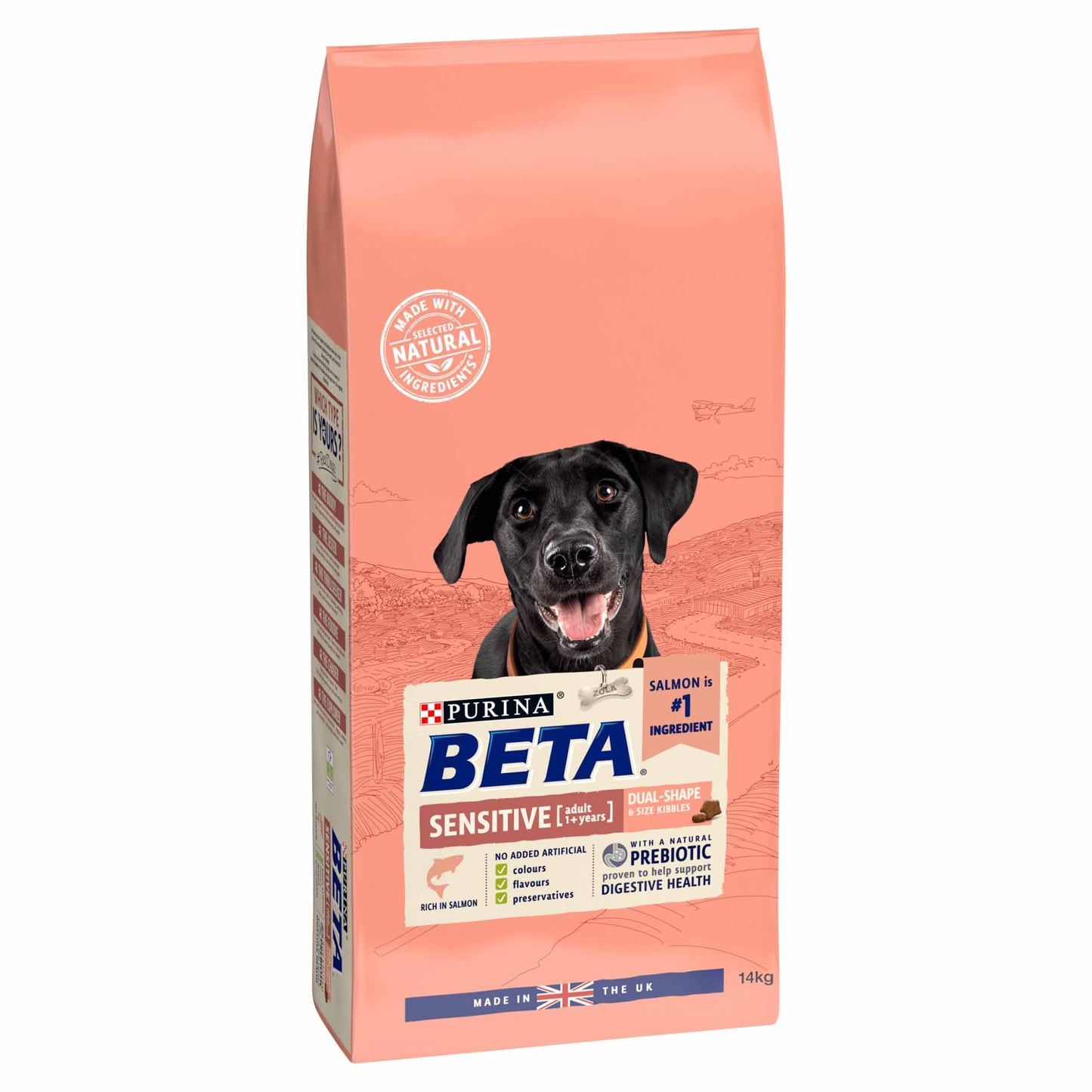Beta Adult Sensitive Dry Dog Food - Salmon