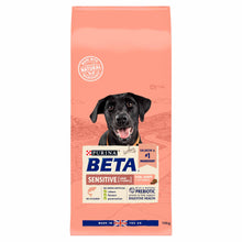 Beta Adult Sensitive Dry Dog Food - Salmon