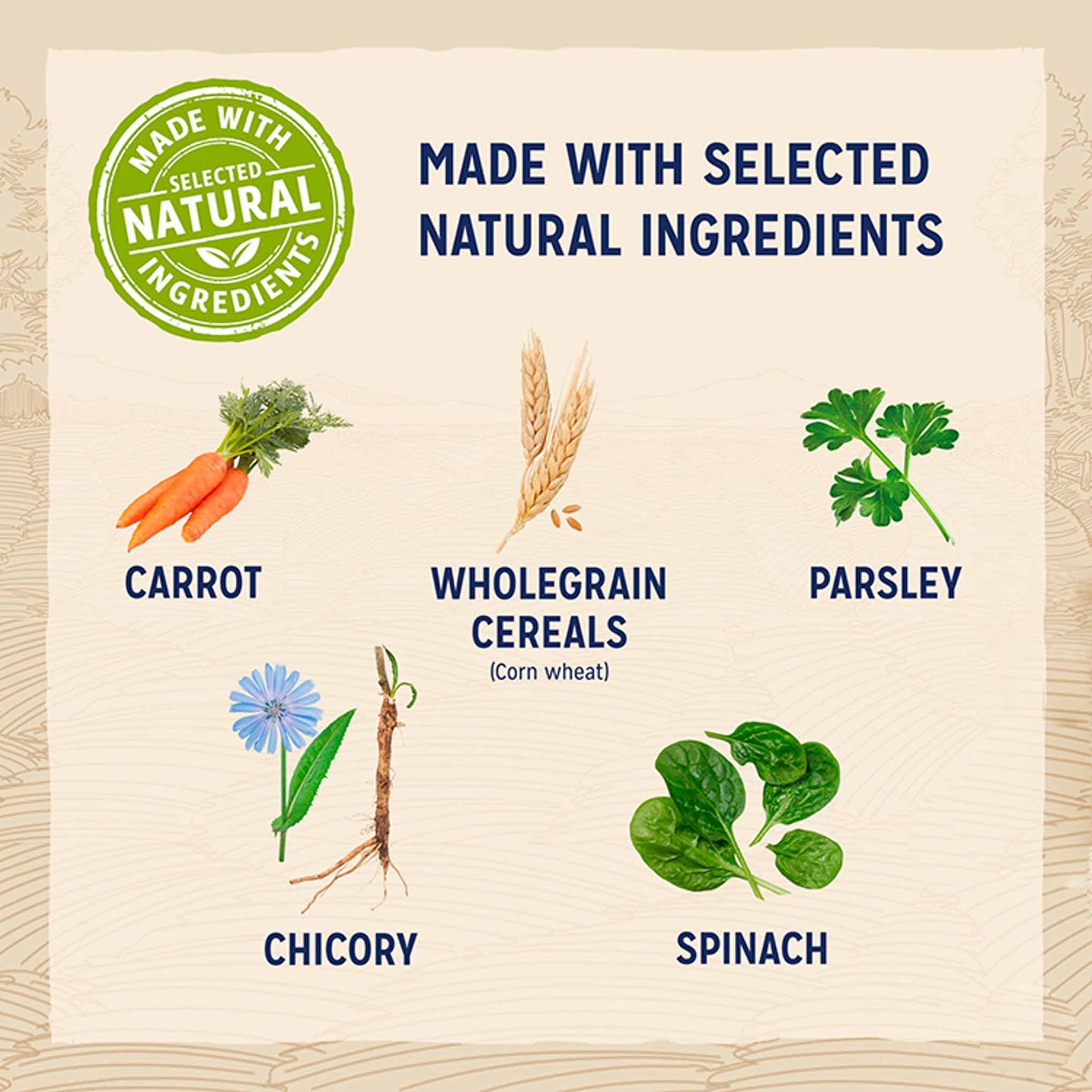 Beta Adult Sensitive Dry Dog Food - Salmon
