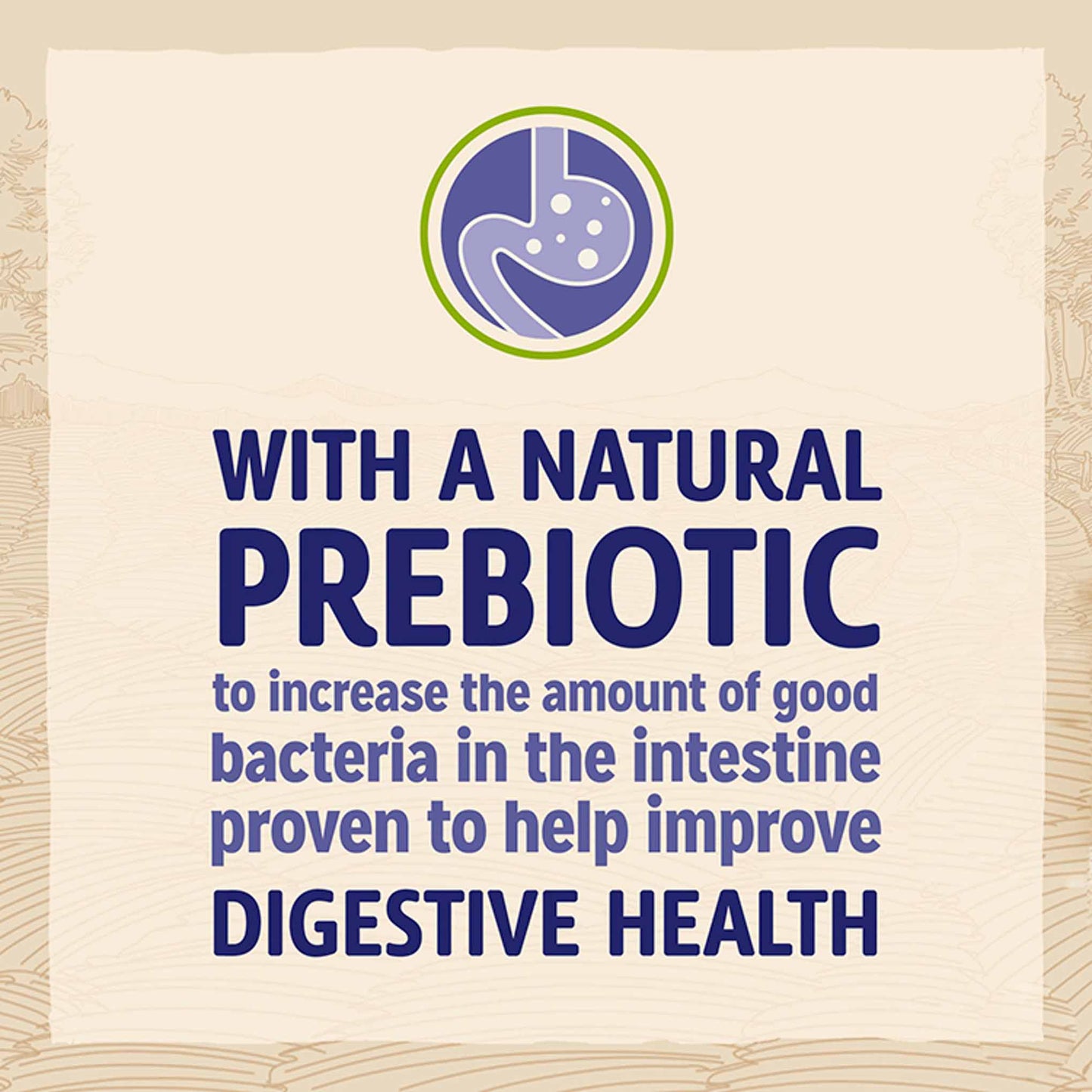 Beta Adult Sensitive Dry Dog Food - Salmon