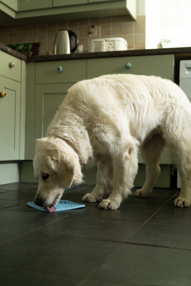 Petface Treat Mat - 2 Pack