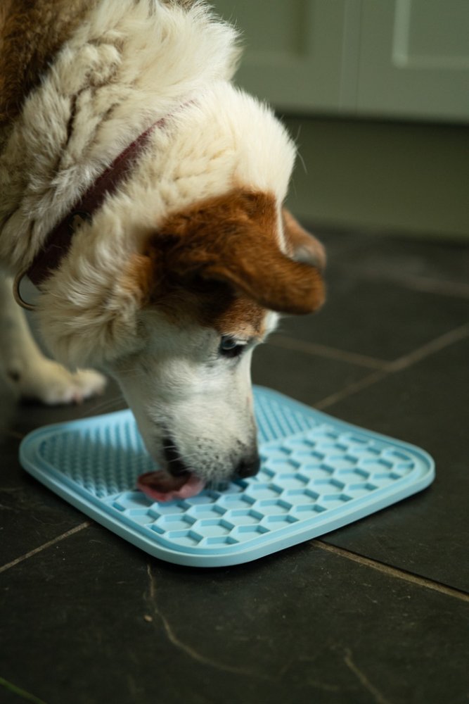 Petface Treat Mat - 2 Pack