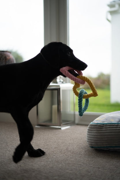 Little Petface Dog Toy - Rope Hearts