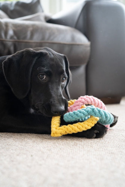Little Petface Dog Toy - Rope Hearts