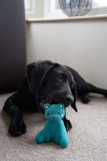 Little Petface Dog Toy - Ted The Latex Bear
