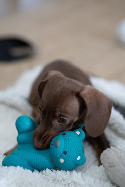 Little Petface Dog Toy - Ted The Latex Bear