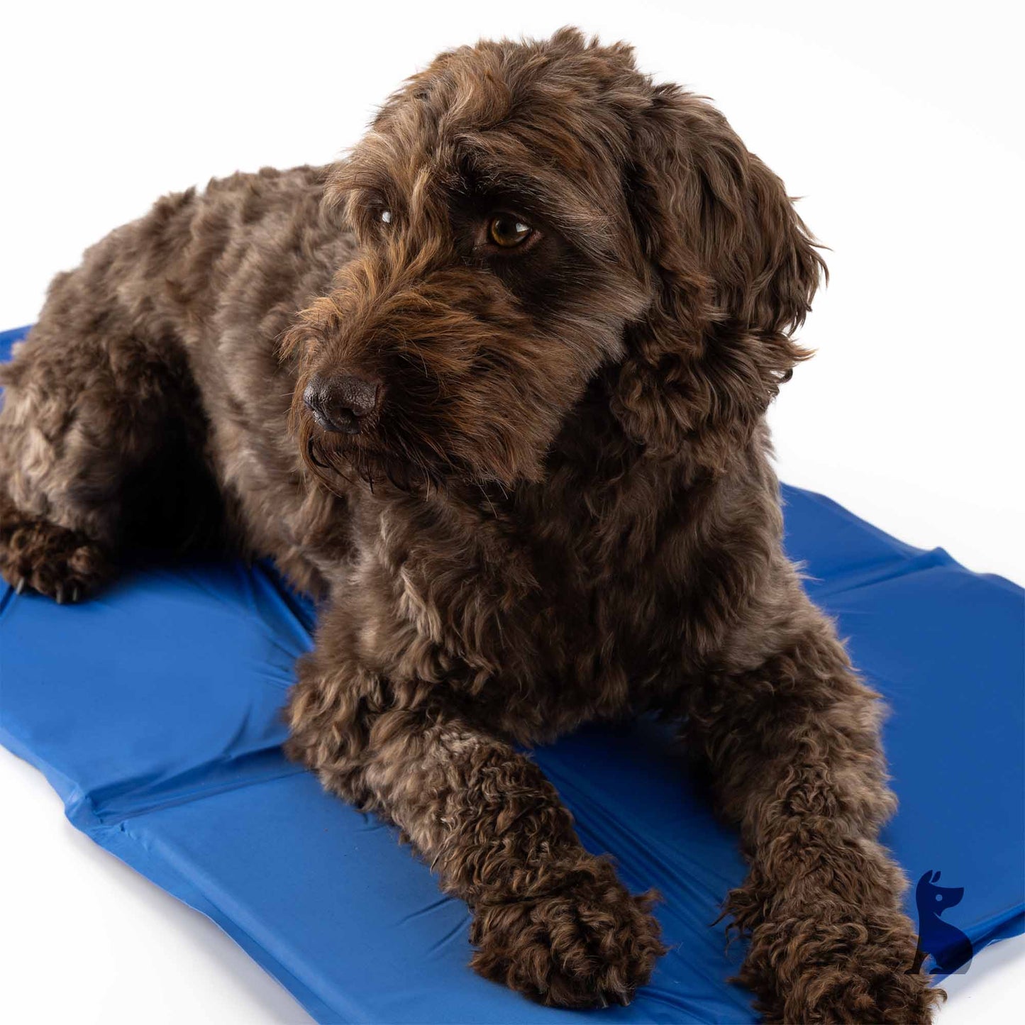 Barkshire Cooling Mat - W90 x D50cm