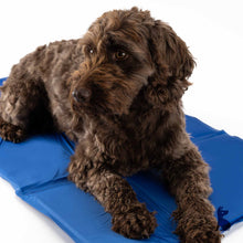 Barkshire Cooling Mat - W90 x D50cm