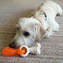 Rosewood Duo Texture Puppy Tug Toy - Bone