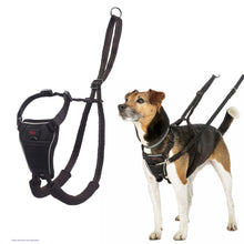 Halti No Pull Dog Harness