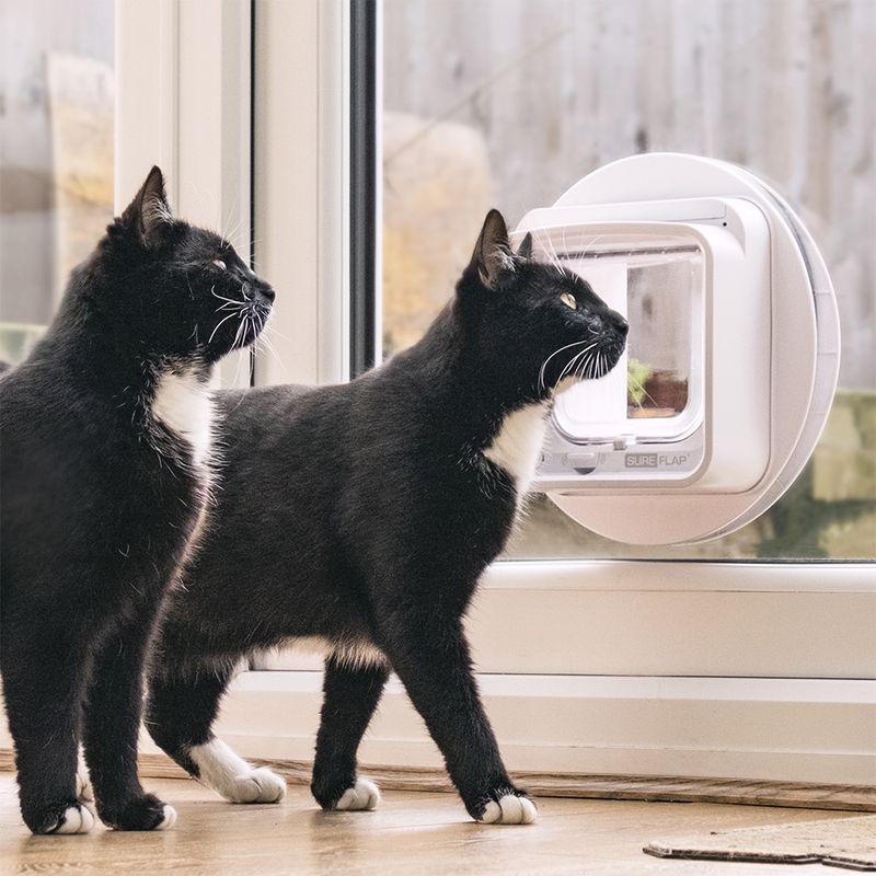 SureFlap Microchip Cat Flap Connect with Hub
