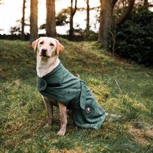 Danish Design Dog Robe Towelling Green - 20in / 50cm