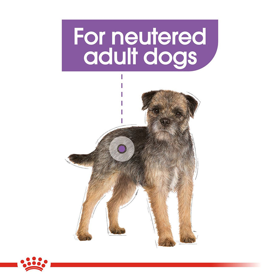 Royal Canin Size Health Nutrition Mini Sterilised Adult Dry Dog Food