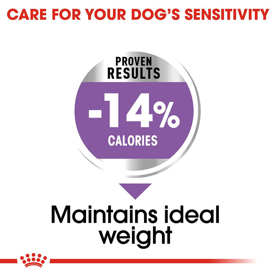 Royal Canin Size Health Nutrition Mini Sterilised Adult Dry Dog Food