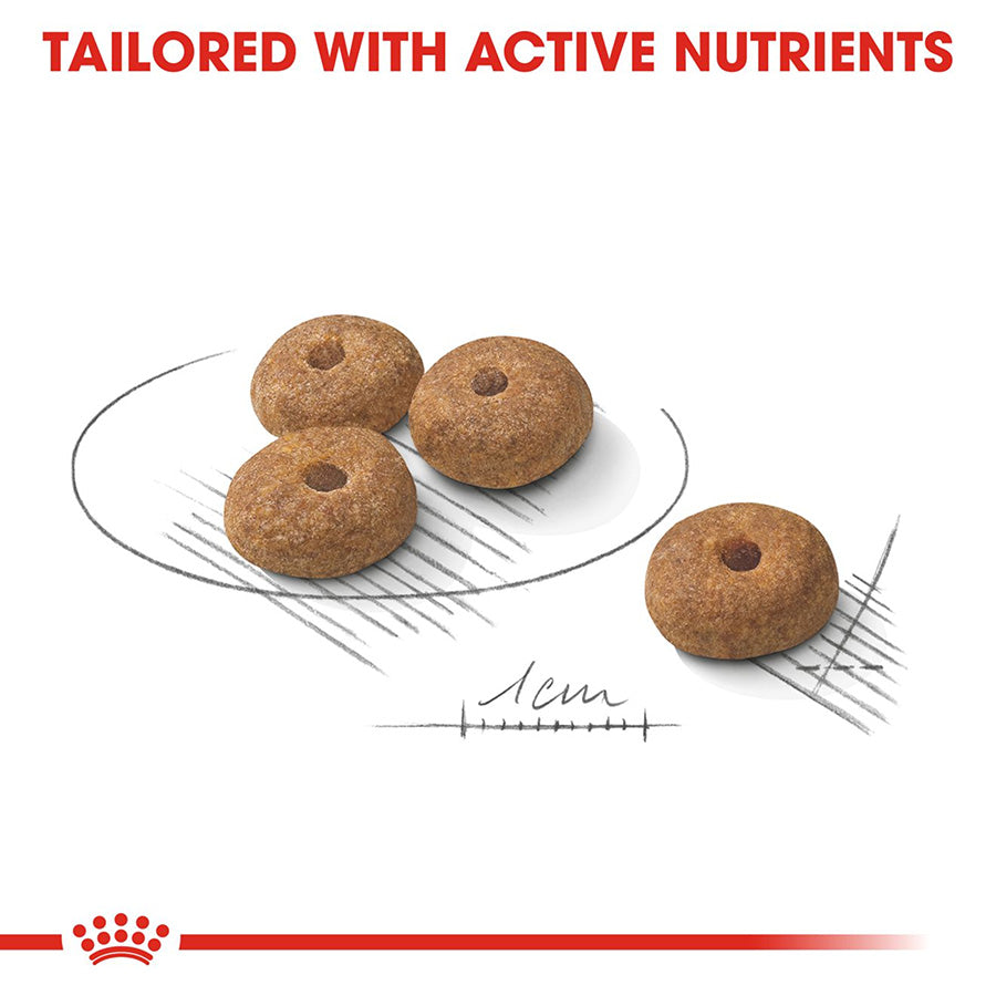 Royal Canin Size Health Nutrition Mini Sterilised Adult Dry Dog Food