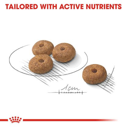 Royal Canin Size Health Nutrition Mini Sterilised Adult Dry Dog Food