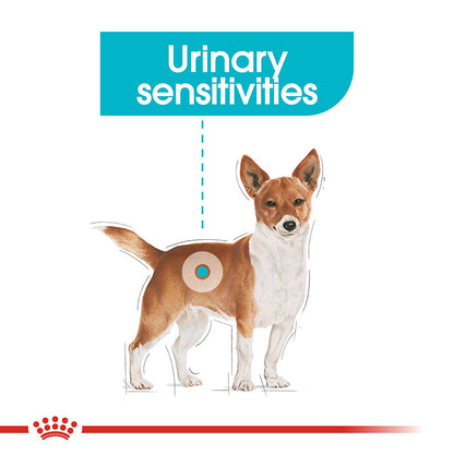 Royal Canin Size Health Nutrition Mini Urinary Care Adult Dry Dog Food