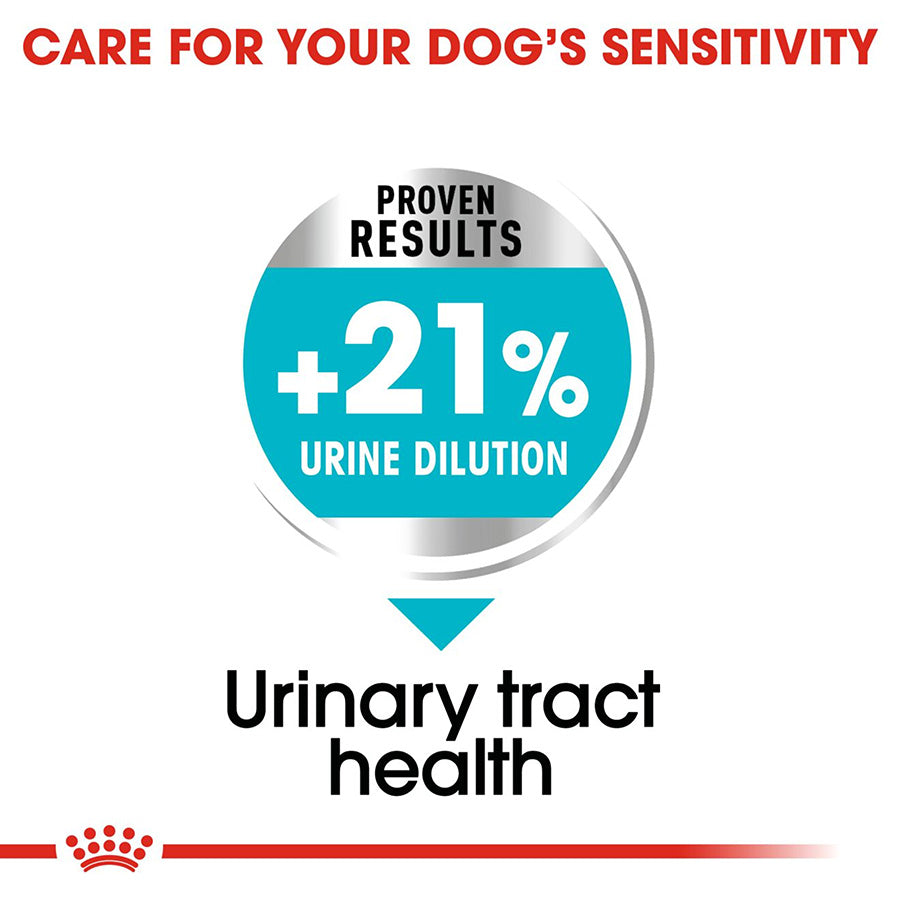 Royal Canin Size Health Nutrition Mini Urinary Care Adult Dry Dog Food