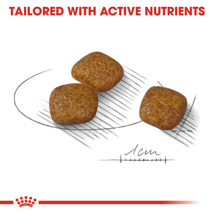 Royal Canin Size Health Nutrition Mini Urinary Care Adult Dry Dog Food