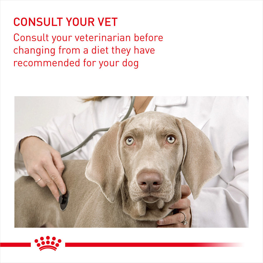Royal Canin Size Health Nutrition Mini Urinary Care Adult Dry Dog Food