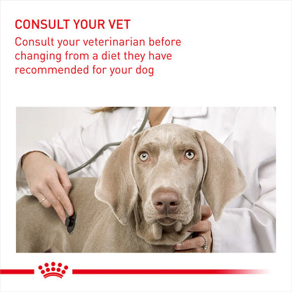 Royal Canin Size Health Nutrition Mini Urinary Care Adult Dry Dog Food