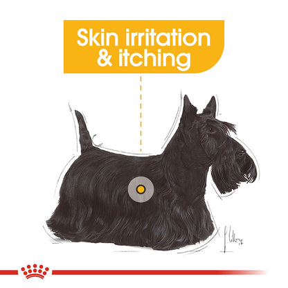 Royal Canin Size Health Nutrition Mini Dermacomfort Adult Dry Dog Food