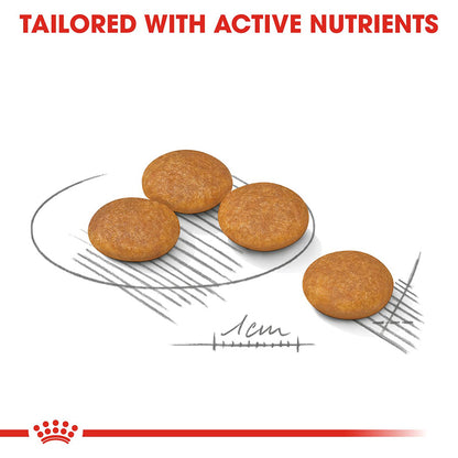 Royal Canin Size Health Nutrition Mini Dermacomfort Adult Dry Dog Food