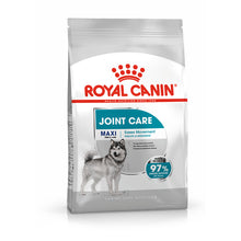 Royal Canin Size Health Nutrition Maxi Joint Care Adult Dry Dog Food