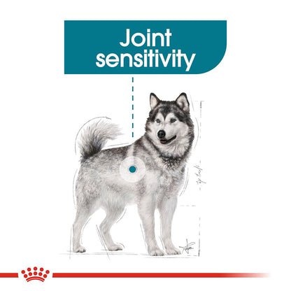 Royal Canin Size Health Nutrition Maxi Joint Care Adult Dry Dog Food