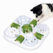 Catit Play Treat Puzzle Slow Feeder