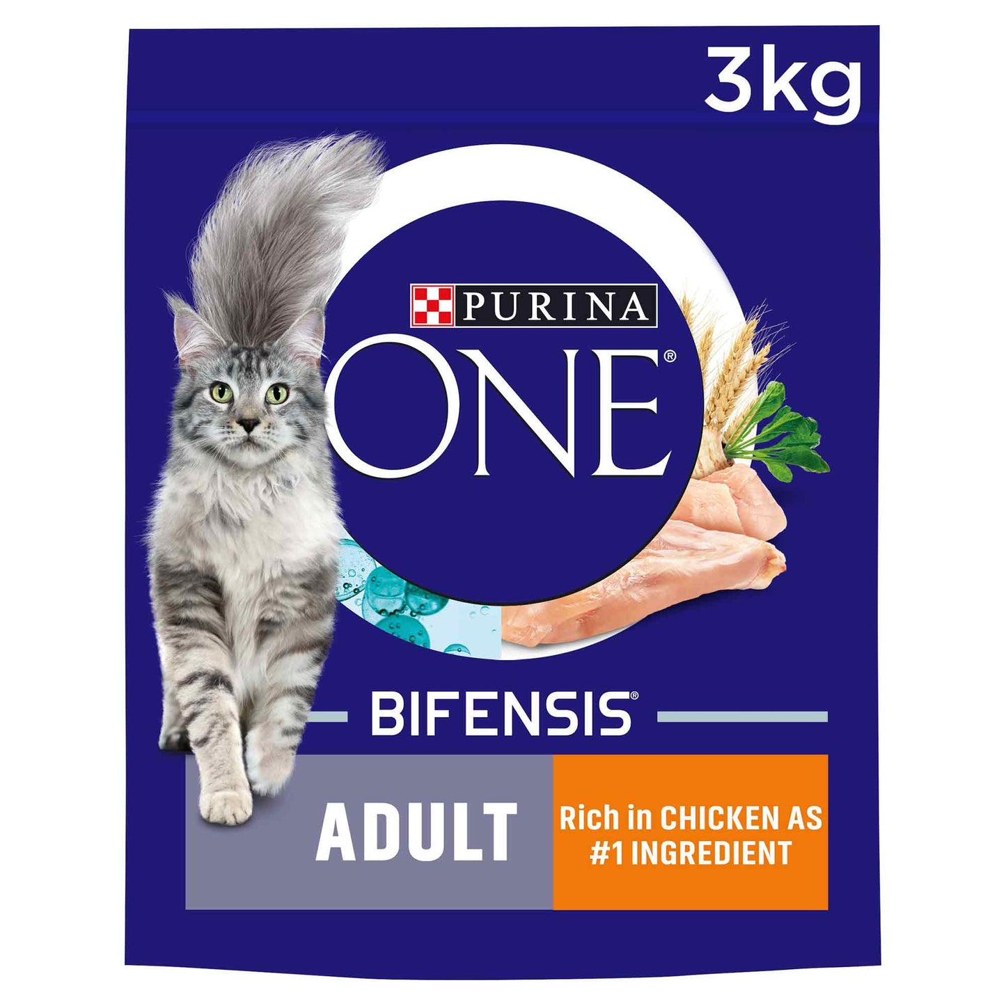 Purina ONE Adult Dry Cat Food - Wholegrains - Salmon