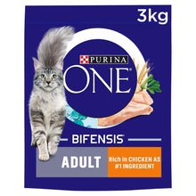 Purina ONE Adult Dry Cat Food - Wholegrains - Salmon