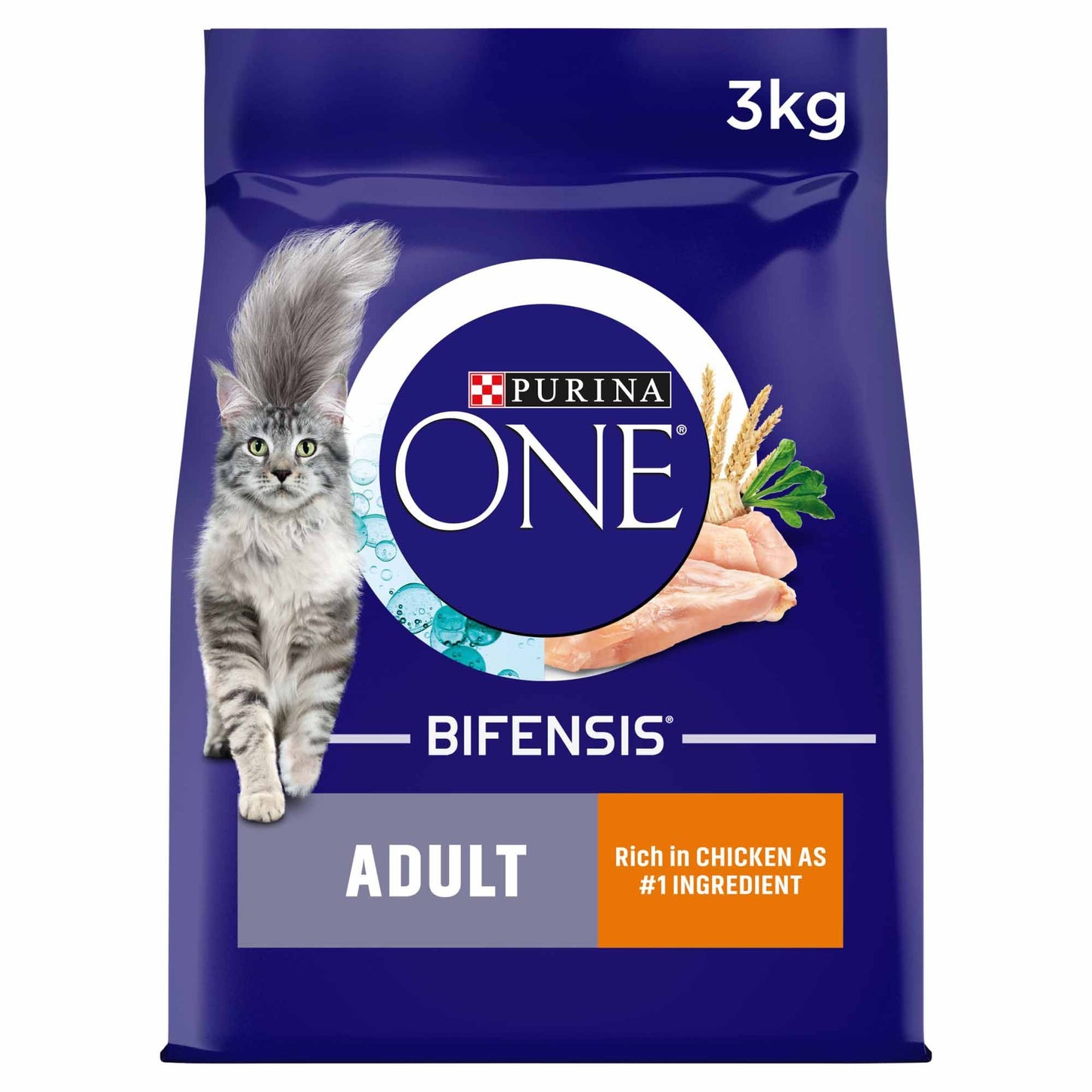 Purina ONE Adult Dry Cat Food - Wholegrains - Chicken