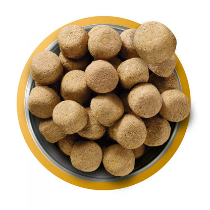 Natures Menu Complete & Balanced Freeze Dried Dog Food - Chicken Nuggets - 250g