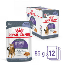 ROYAL CANIN Appetite Control Care Adult Wet Cat Food in Jelly - 12x85g Pouches