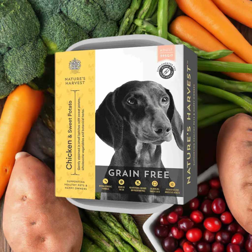 Natures Harvest Natures Harvest Chicken Salmon Adult Wet Dog Food pet food packaging