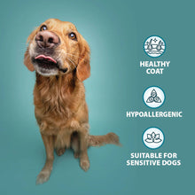 Burns Adult/Senior Wet Dog Food - Variety Box - 6x395g Trays