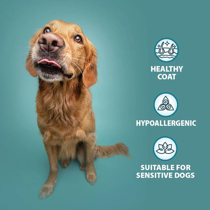 Burns Adult/Senior Wet Dog Food - Variety Box - 6x395g Trays