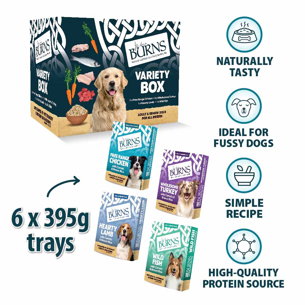 Burns Adult/Senior Wet Dog Food - Variety Box - 6x395g Trays