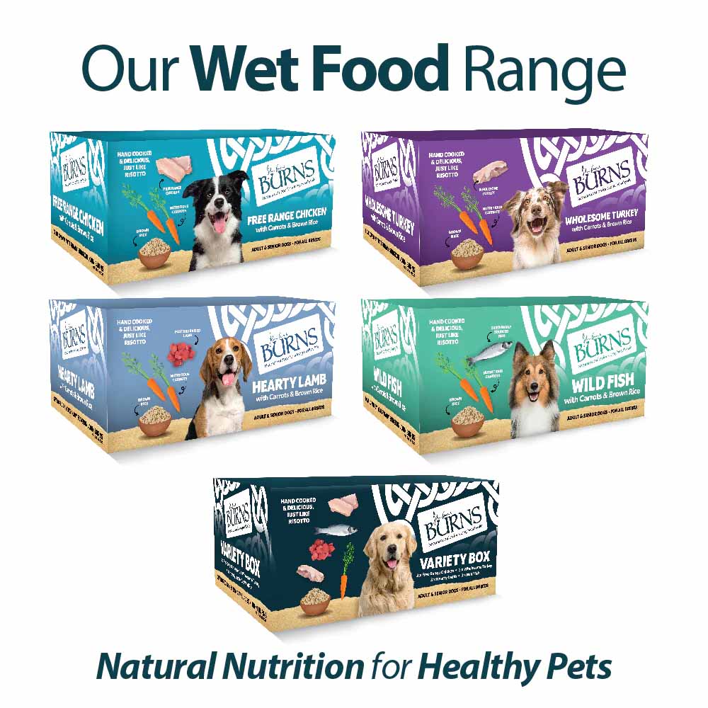 Burns Adult/Senior Wet Dog Food - Fish & Rice - 12x150g Trays