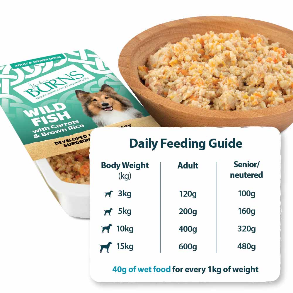 Burns Adult/Senior Wet Dog Food - Fish & Rice - 12x150g Trays