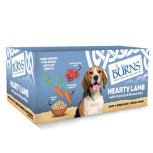 Burns Adult/Senior Wet Dog Food - Lamb & Rice - 12x150g Trays