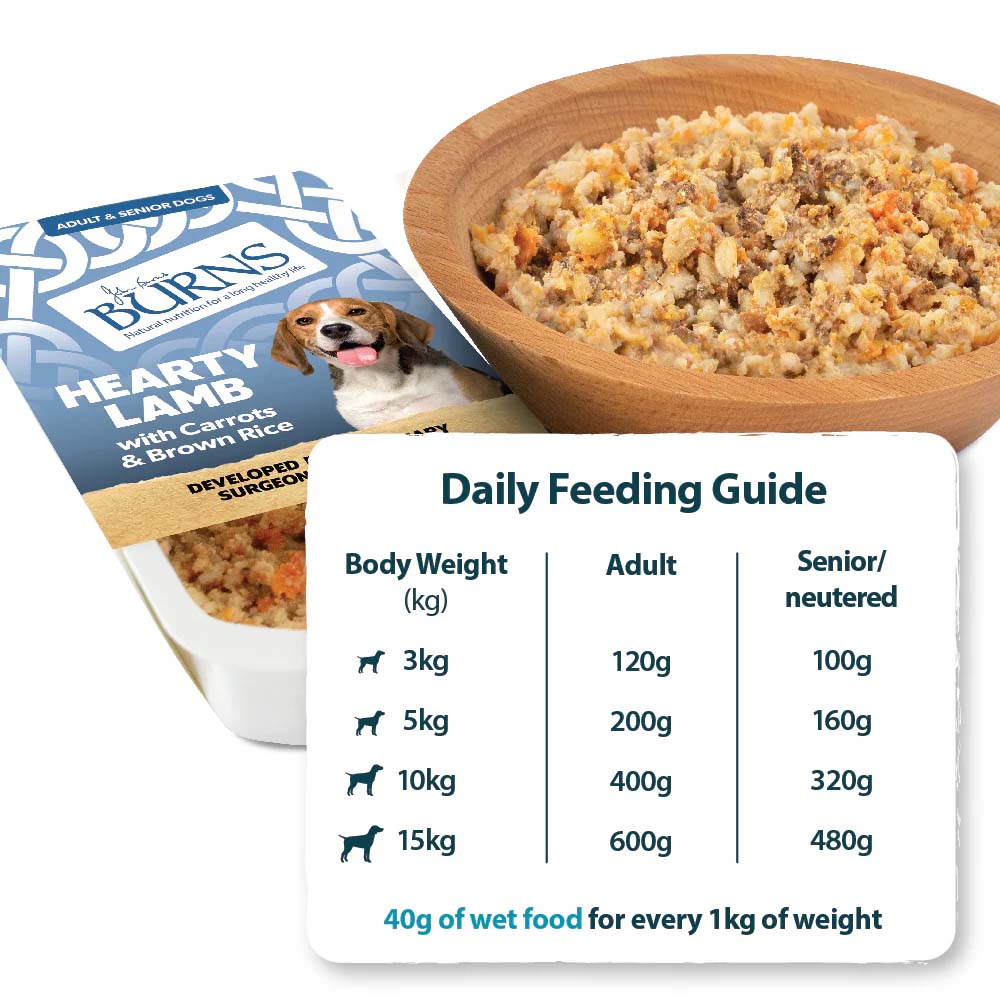 Burns Adult/Senior Wet Dog Food - Lamb & Rice - 12x150g Trays