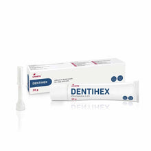 Dentihex Adhesive Dental Paste for Cats & Dogs - 20g