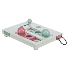 Trixie Cat Activity Brain Mover Slow Feeder Cat Toy