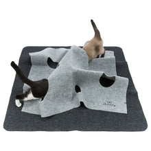 Trixie Cat Activity Adventure Carpet Cat Toy