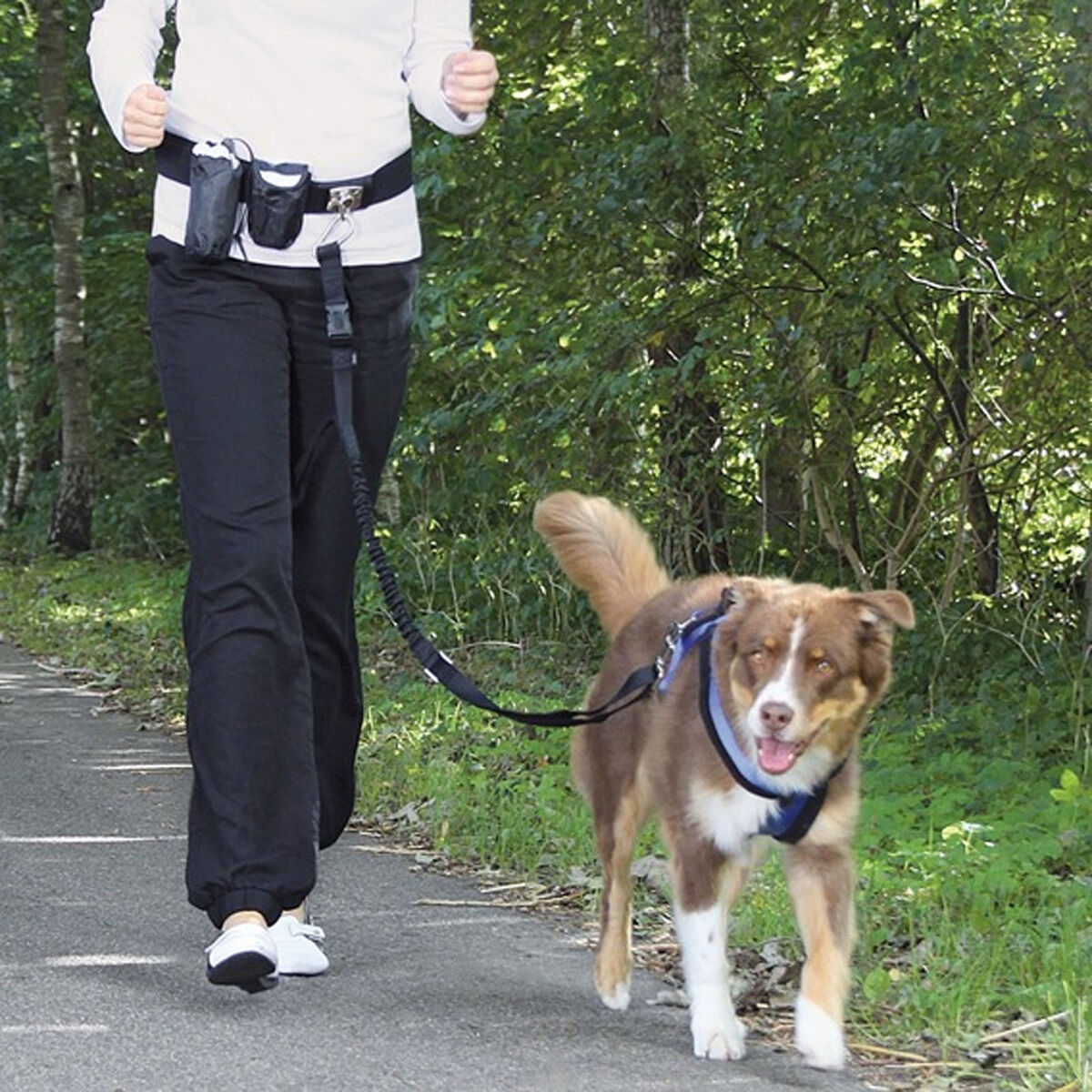 Hands Free Jogging Belt & Lead