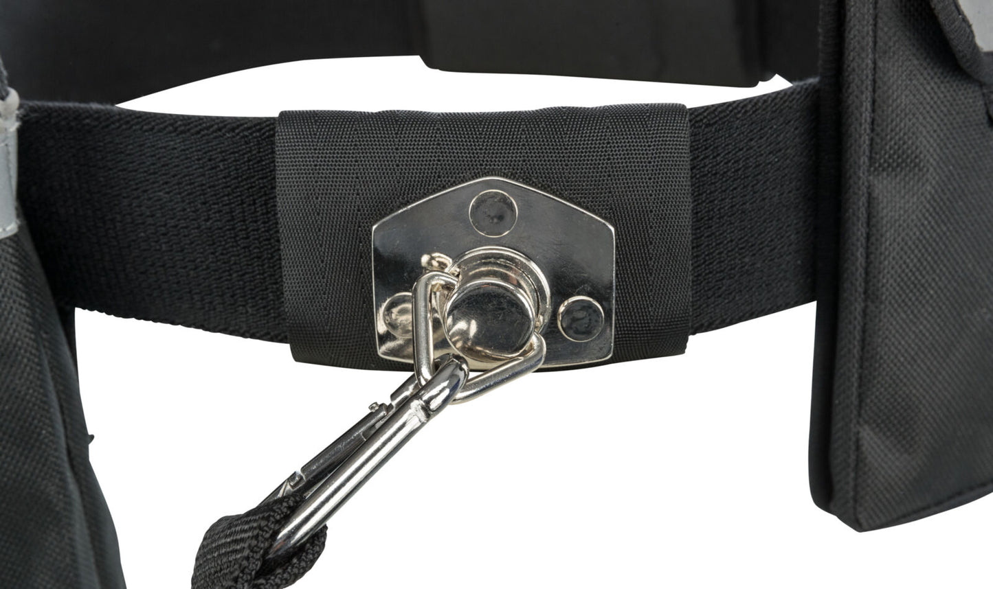 Hands Free Jogging Belt & Lead