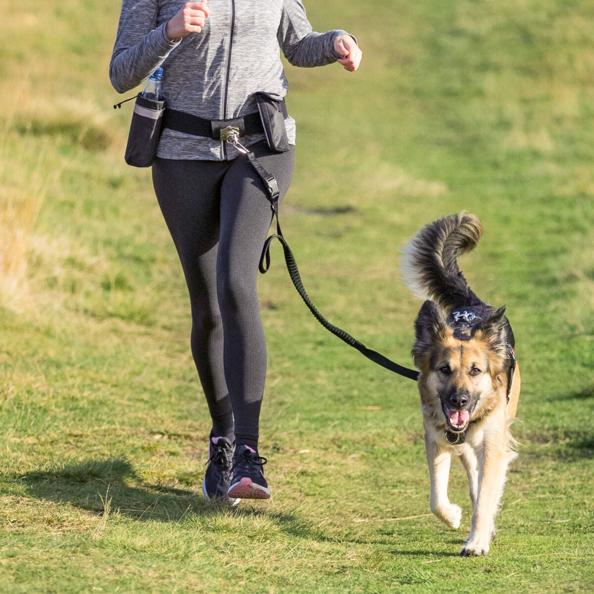 Hands Free Jogging Belt & Lead